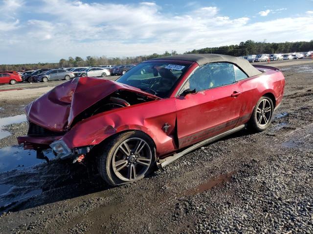 2010 Ford Mustang 2010 image