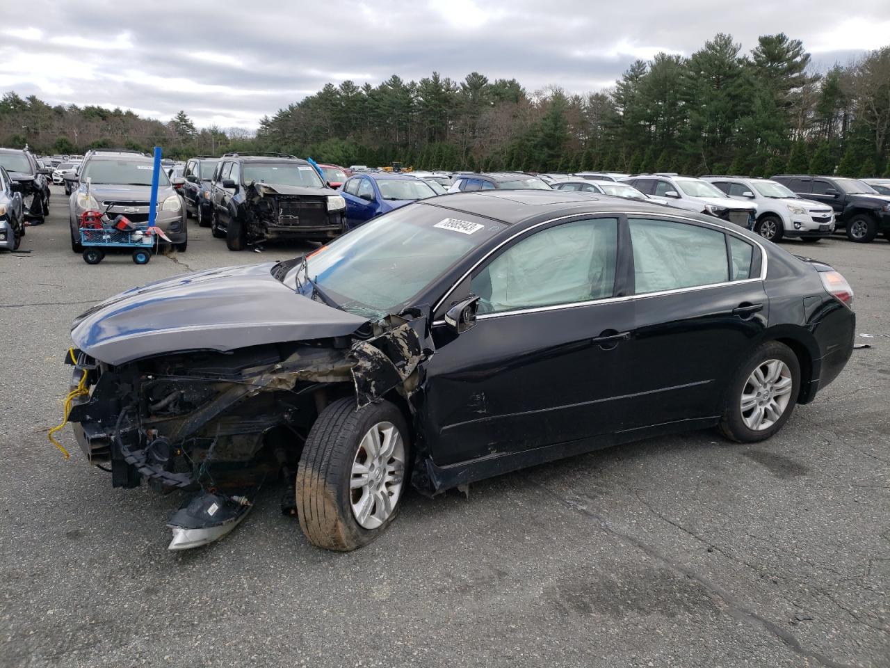 2011 NISSAN ALTIMA BASE 2011 image