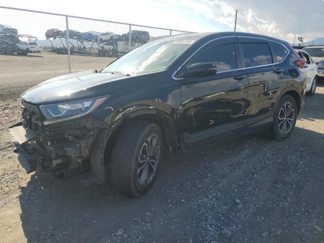 2022 HONDA CR-V EXL 2022 image