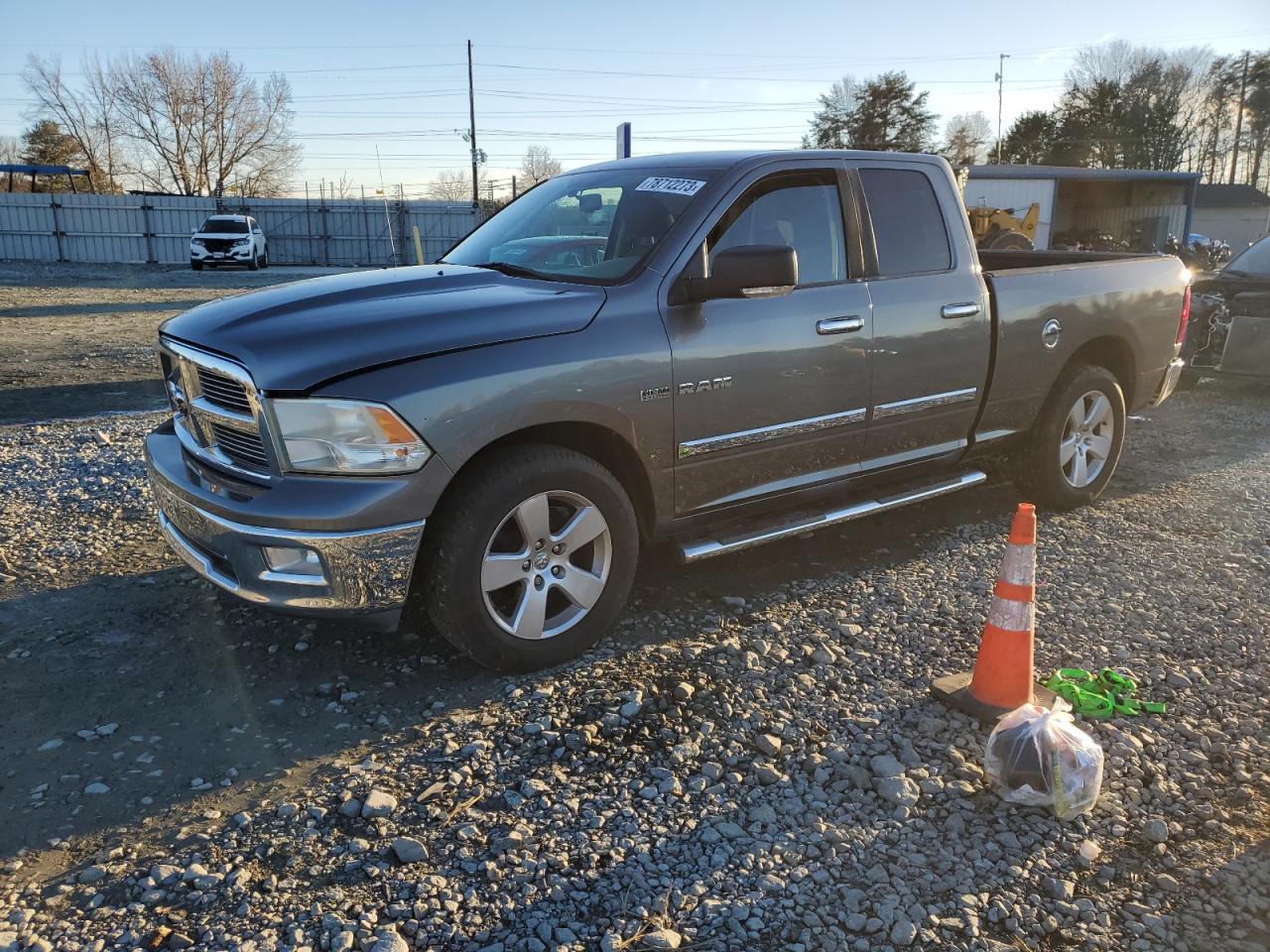 Obraz 2010 DODGE RAM 1500  2010