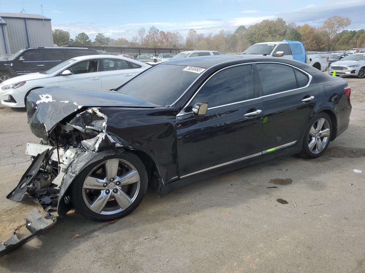 2010 LEXUS LS 460 2010 image