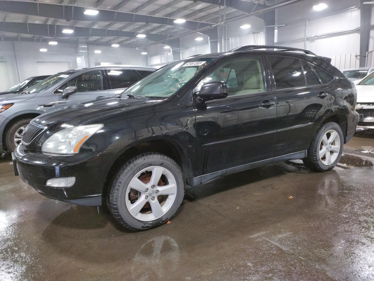 2007 LEXUS RX 350 2007 image