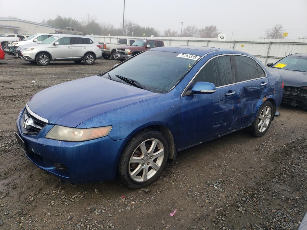 2004 ACURA TSX  2004 image