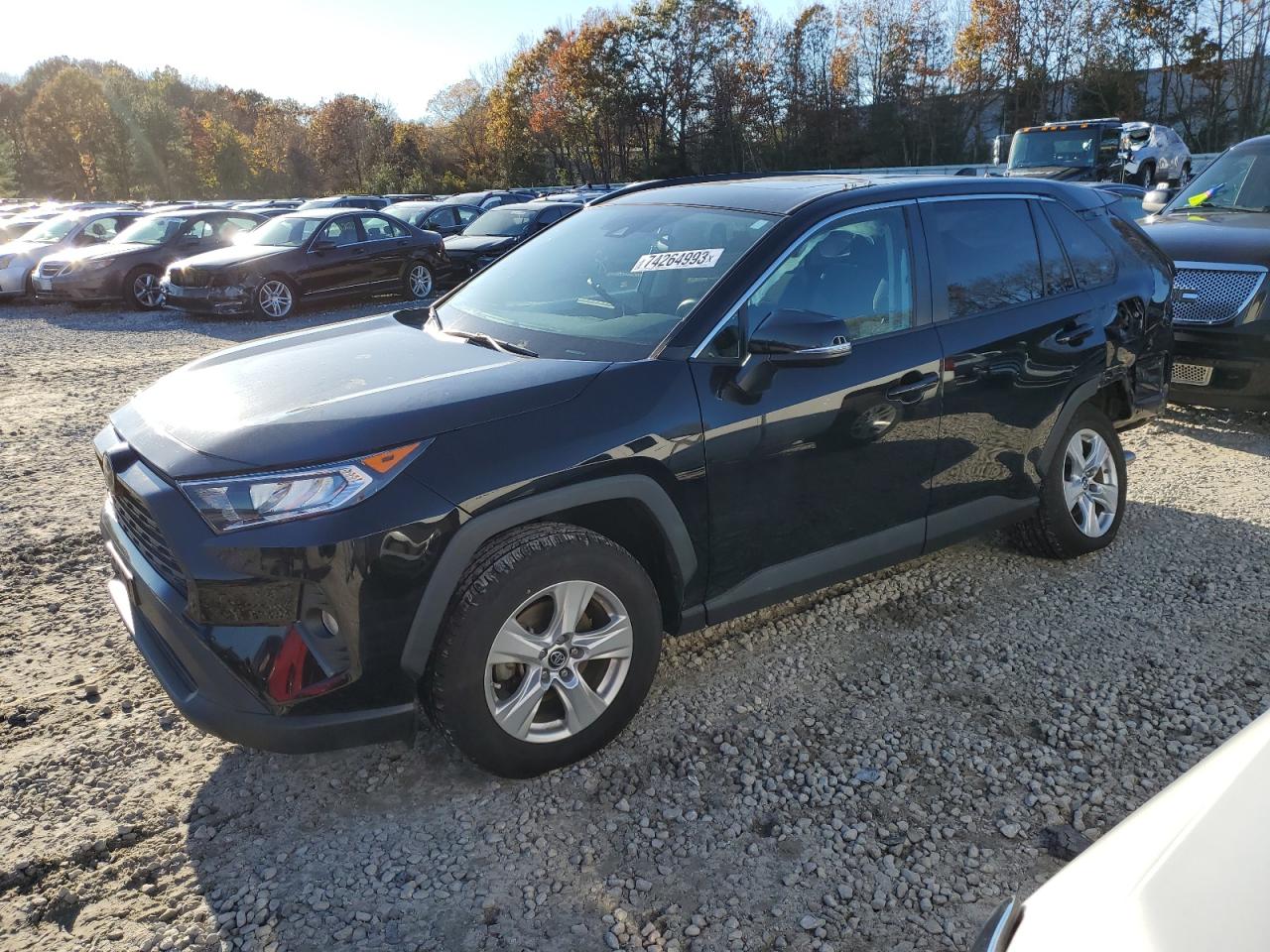 2019 TOYOTA RAV4 XLE 2019 image