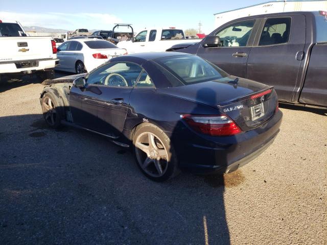 Obraz 2 z 2013 MERCEDES-BENZ SLK 250 2013 z VIN WDDPK4HA5DF058966