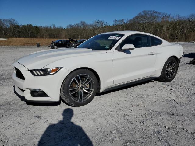 2017 FORD MUSTANG  2017 image