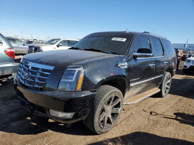 2007 CADILLAC ESCALADE LUXURY 2007 image