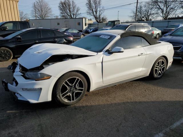 2019 FORD MUSTANG  2019 image