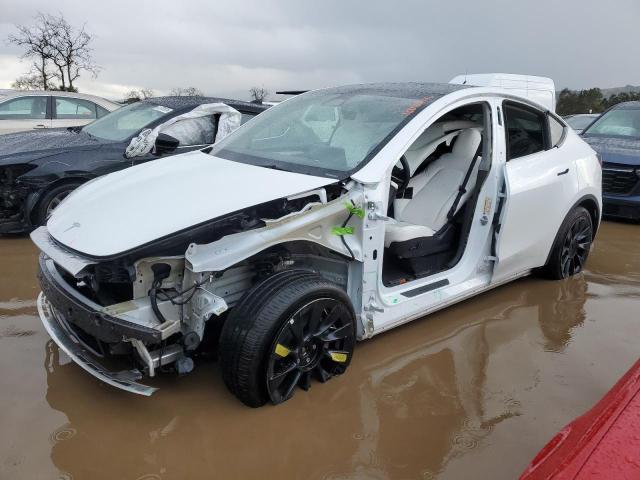 2023 TESLA MODEL Y  2023 image