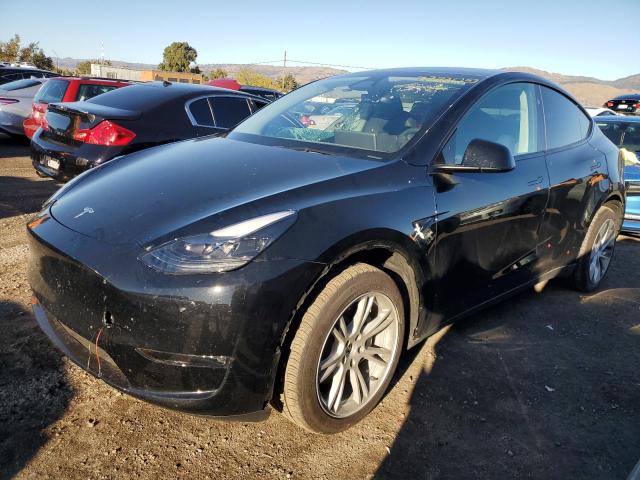 2023 TESLA MODEL Y  2023 image