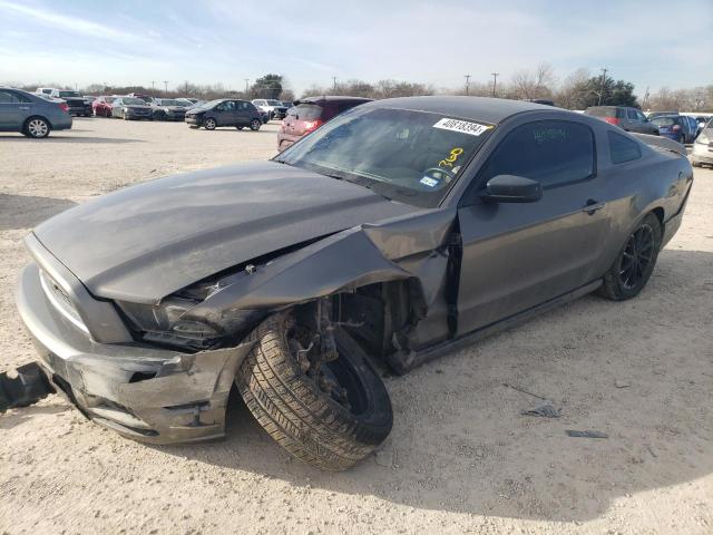 2014 FORD MUSTANG  2014 image
