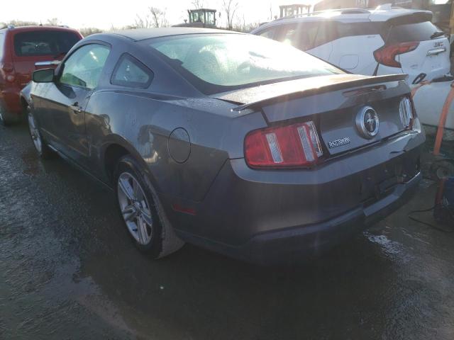 Изображение 2 2010 FORD MUSTANG  2010 с VIN 1ZVBP8AN0A5136644