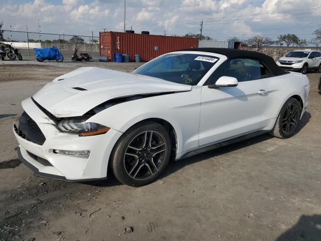 2019 FORD MUSTANG  2019 image