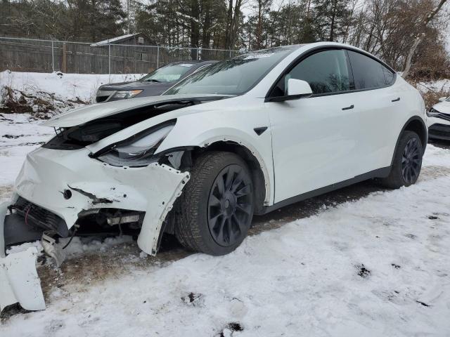 Obraz 2022 TESLA MODEL Y  2022
