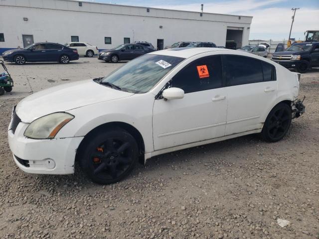 2006 NISSAN MAXIMA SE 2006 image
