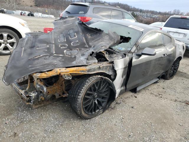 Obraz 1 z 2019 FORD MUSTANG GT 2019 z VIN 1FA6P8CF3K5103736