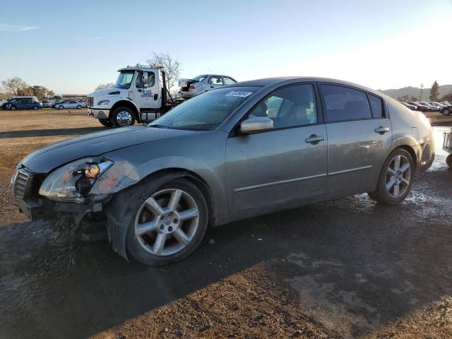 2004 NISSAN MAXIMA SE 2004 image
