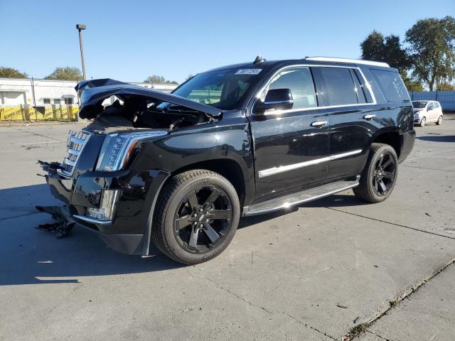 2017 CADILLAC ESCALADE  2017 image