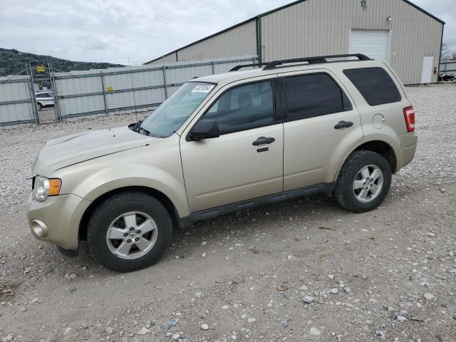 2010 FORD ESCAPE XLT 2010 image