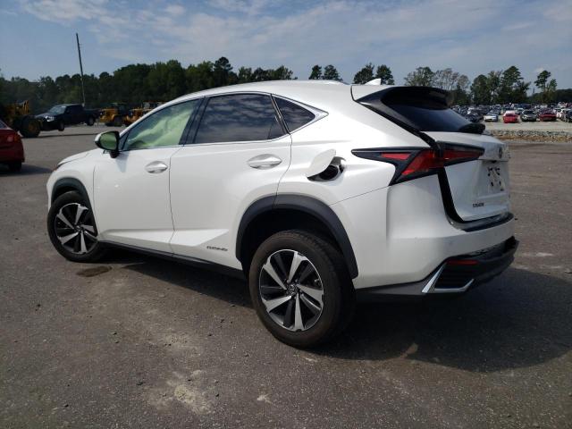 Obraz 2 z 2021 LEXUS NX 300H BASE 2021 z VIN JTJGJRDZ0M2166941