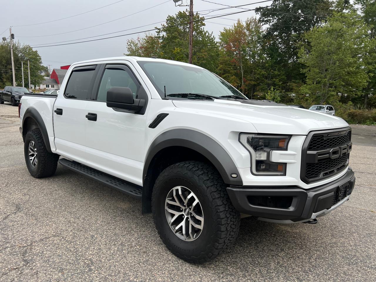 2018 FORD F150 RAPTOR 2018 image