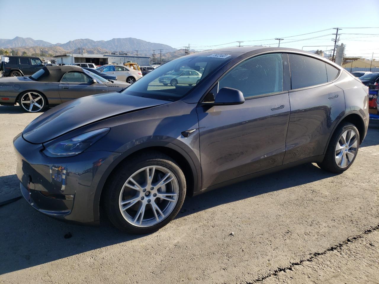 2023 TESLA MODEL Y  2023 image