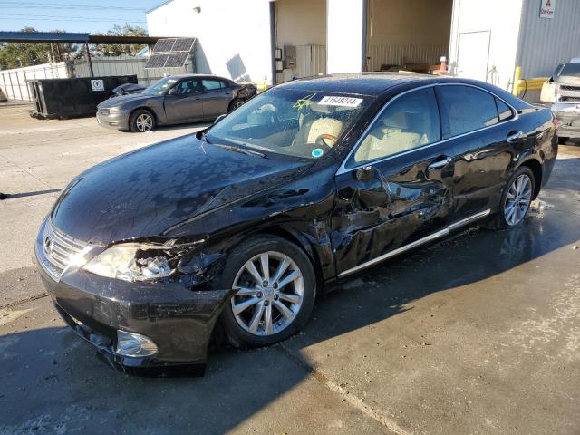 Obraz 2010 LEXUS ES 350 2010