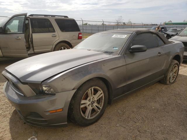 2014 FORD MUSTANG  2014 image