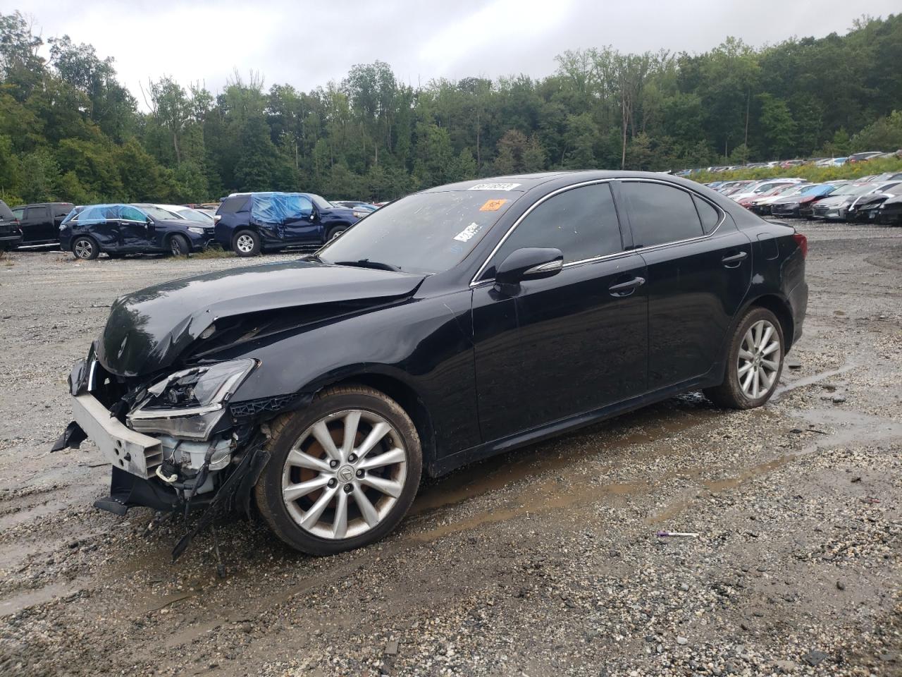 2010 LEXUS IS 250 2010 image