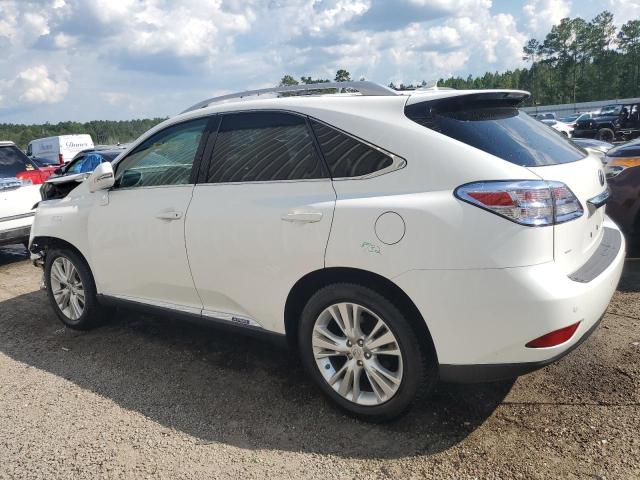 Obraz 2 z 2012 LEXUS RX 450 2012 z VIN JTJBC1BA4C2434584