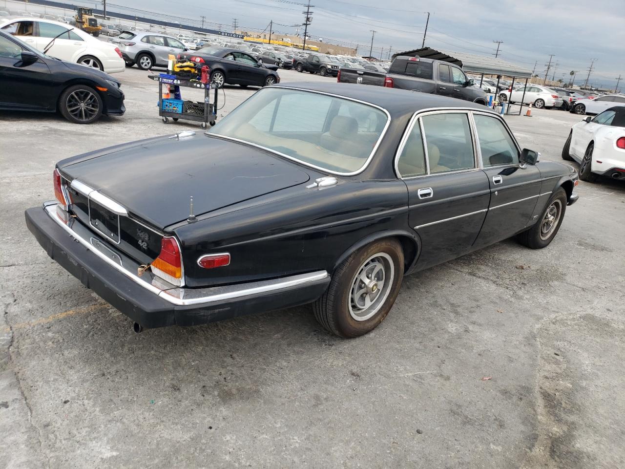 Image 3 of 1981 JAGUAR XJ6  1981 with VIN SAJAV1245BC321028