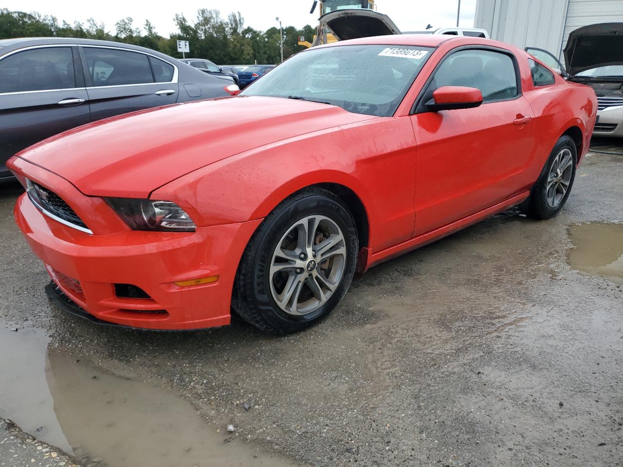 2014 FORD MUSTANG  2014 image