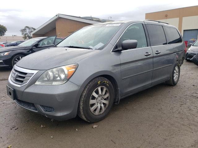 2009 HONDA ODYSSEY EXL 2009 image
