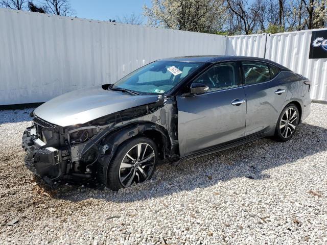 2023 NISSAN MAXIMA SV 2023 image