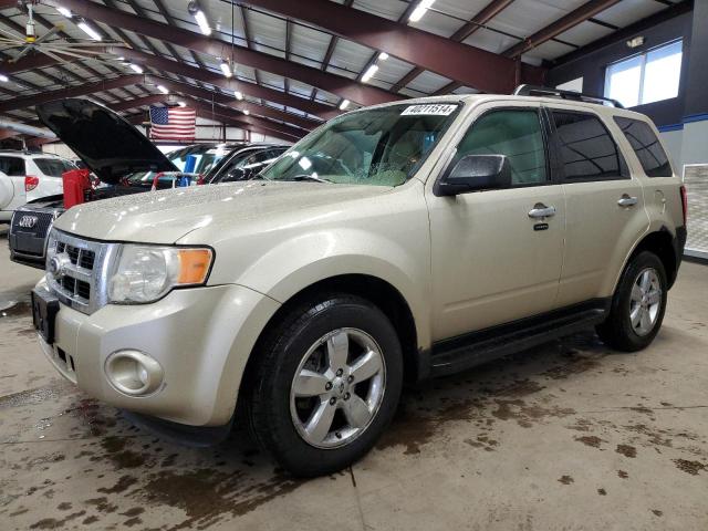 Image 1 of 2010 FORD ESCAPE XLT 2010 with VIN 1FMCU9DG9AKA63354