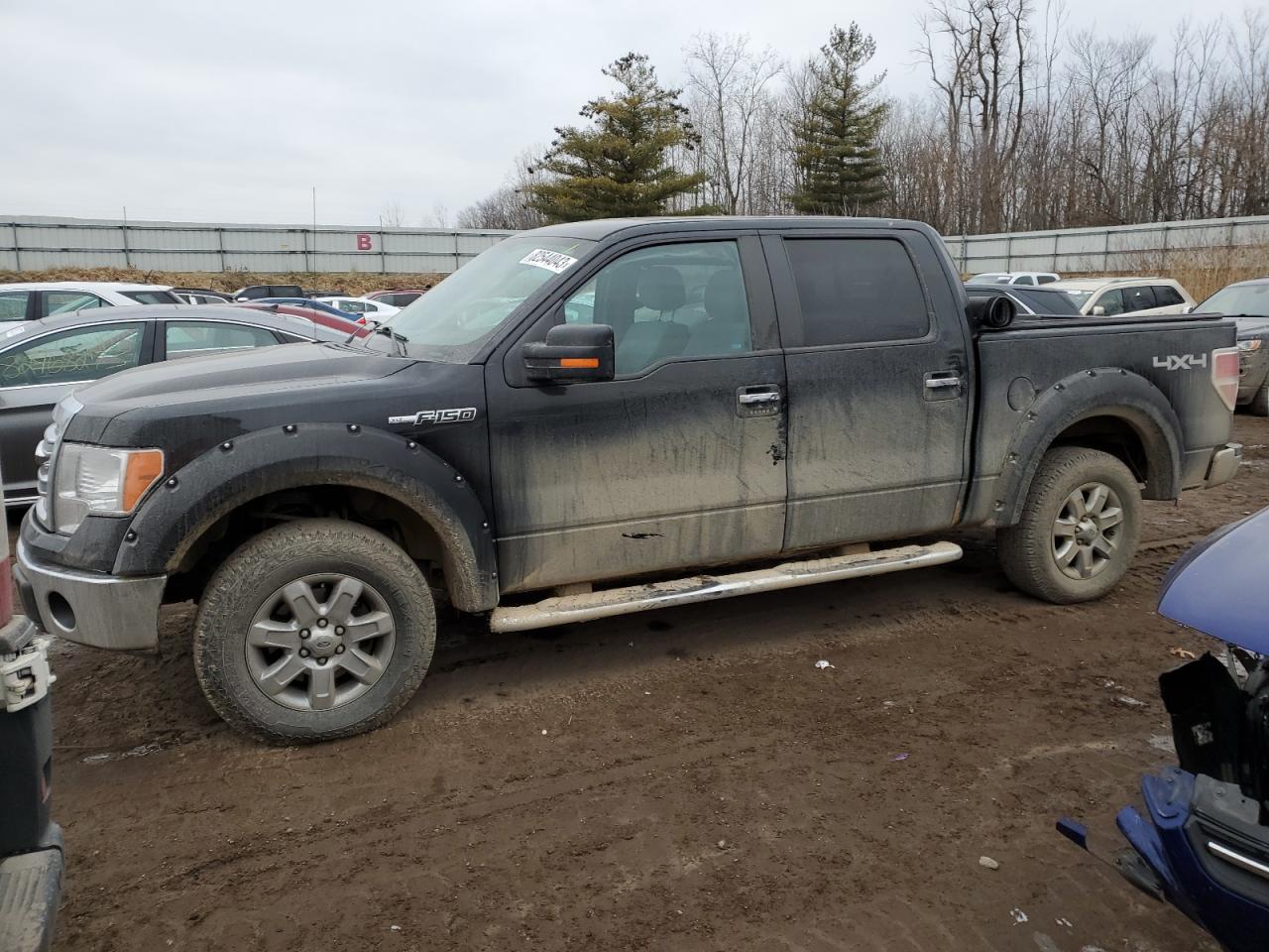 Image 1 of 2013 FORD F150 SUPERCREW 2013 with VIN 1FTFW1EF4DFB08314