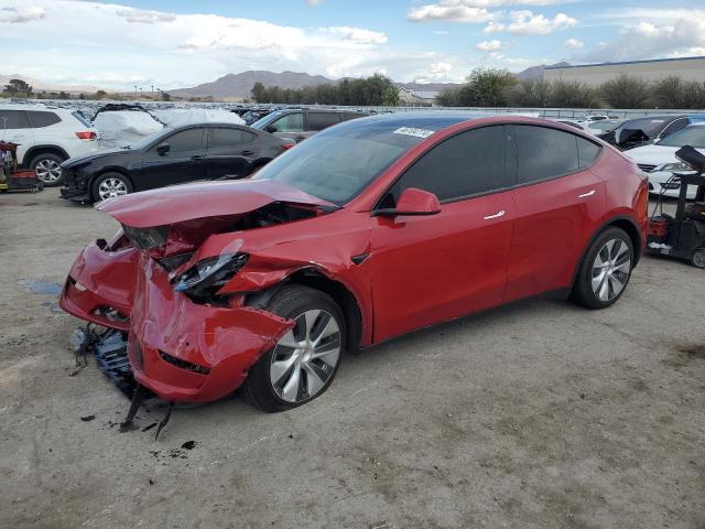 2021 TESLA MODEL Y  2021 image
