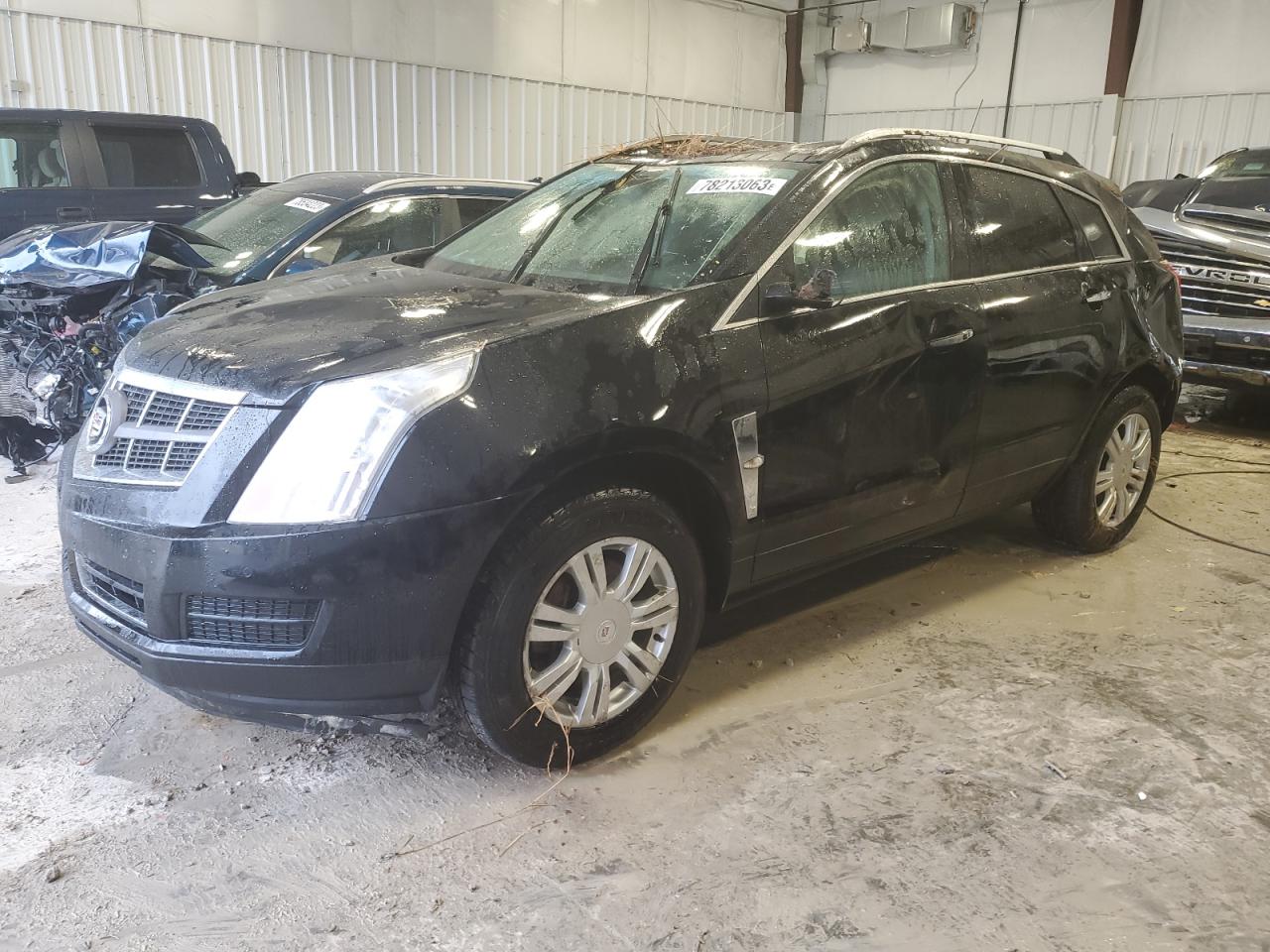2011 CADILLAC SRX LUXURY COLLECTION 2011 image