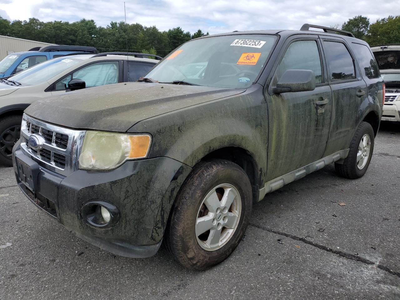 2012 FORD ESCAPE XLT 2012 image