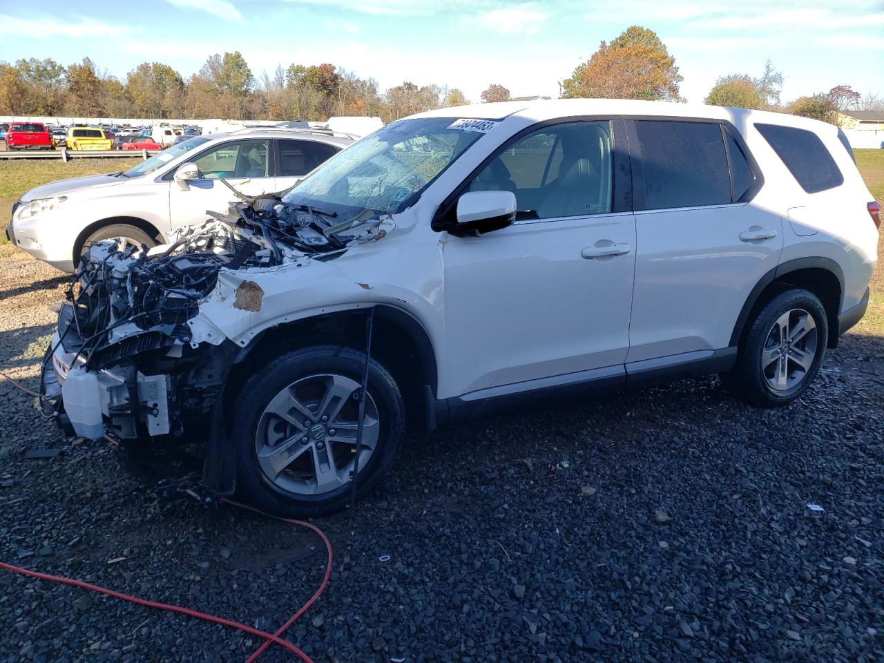 2023 HONDA PILOT EXL 2023 image