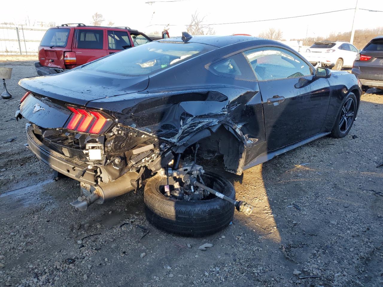 Изображение 3 2024 FORD MUSTANG  2024 с VIN 1FA6P8TH1R5107148
