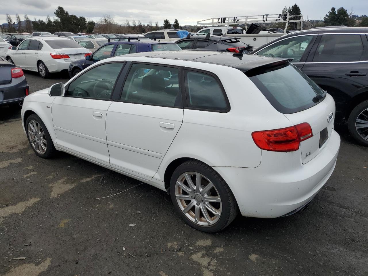 Изображение 2 2010 AUDI A3 PREMIUM PLUS 2010 с VIN WAUKEAFM3AA116599
