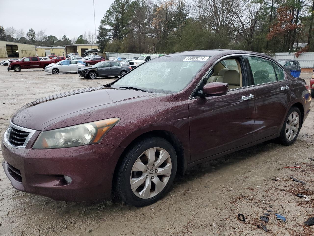 Изображение 1 2010 HONDA ACCORD EXL 2010 с VIN 5KBCP3F81AB016154