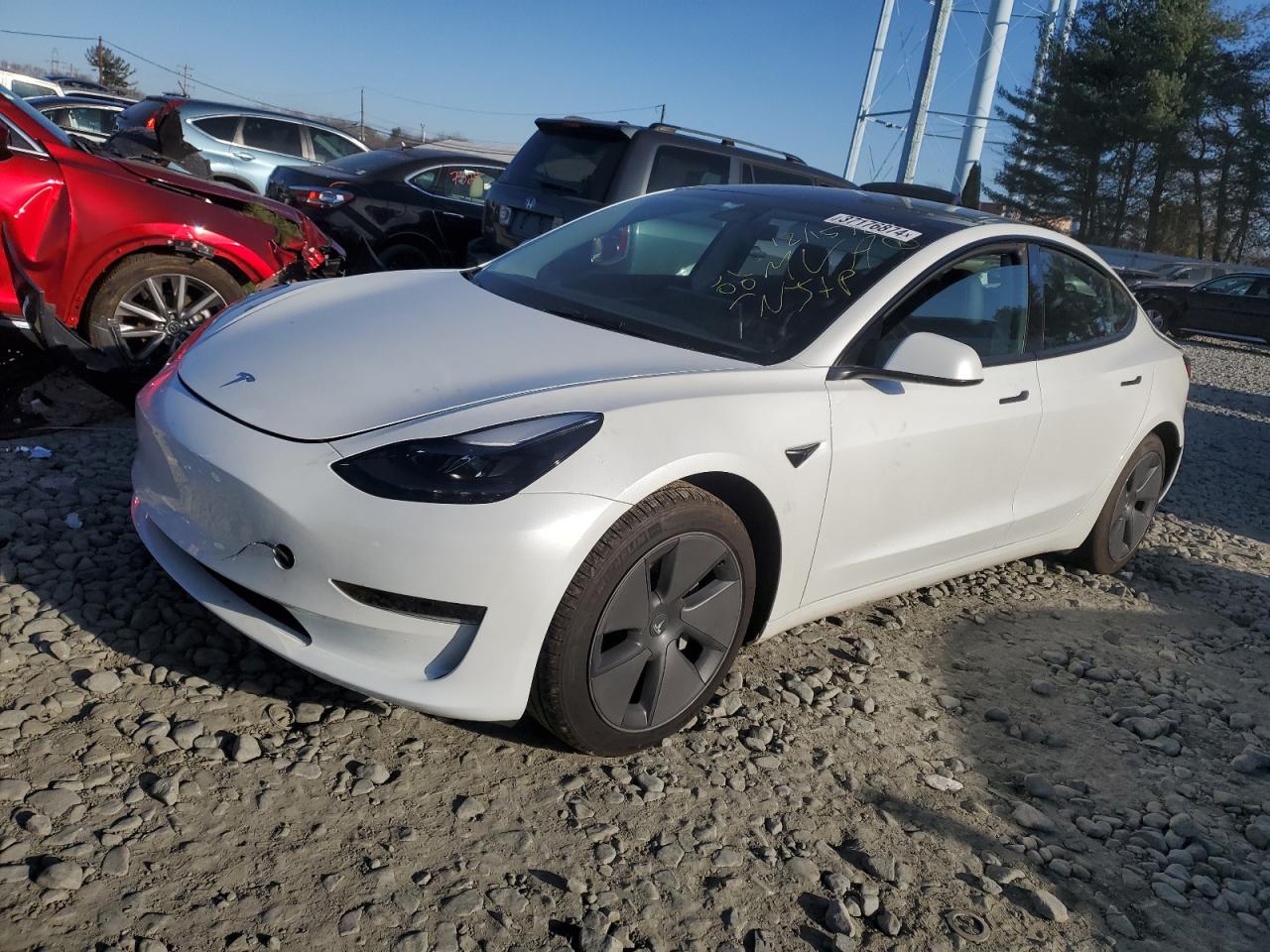 2023 TESLA MODEL 3  2023 image
