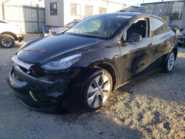 2023 Tesla MODEL Y 2023 image