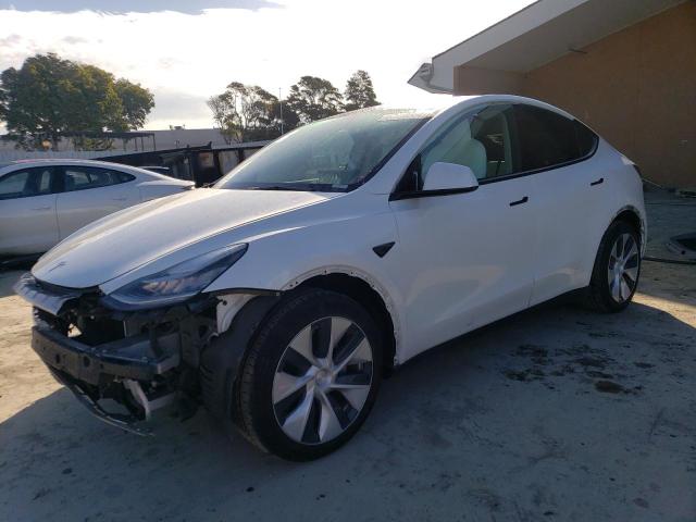 2021 TESLA MODEL Y  2021 image