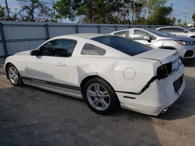 Image 2 of 2013 FORD MUSTANG  2013 with VIN 1ZVBP8AMXD5267804
