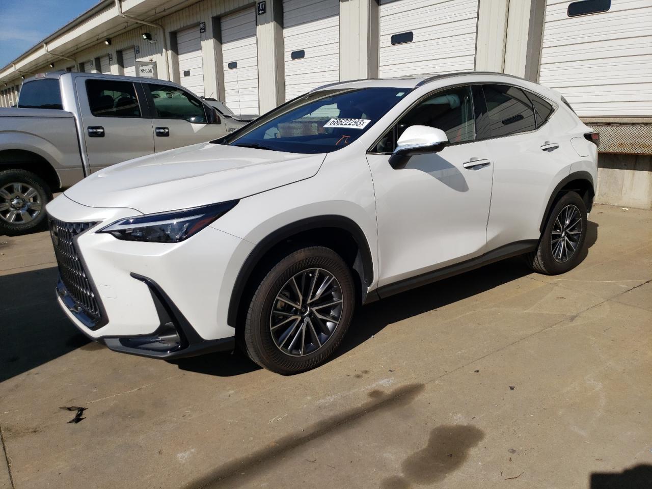 2023 LEXUS NX 350H 2023 image