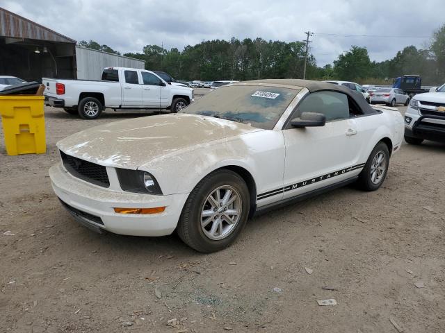 2007 FORD MUSTANG  2007 image