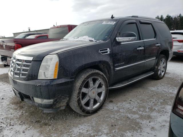 Изображение 2011 CADILLAC ESCALADE LUXURY 2011